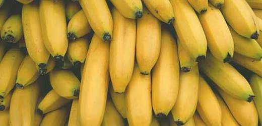 香蕉网国产,探索本土创意与产业的融合之路